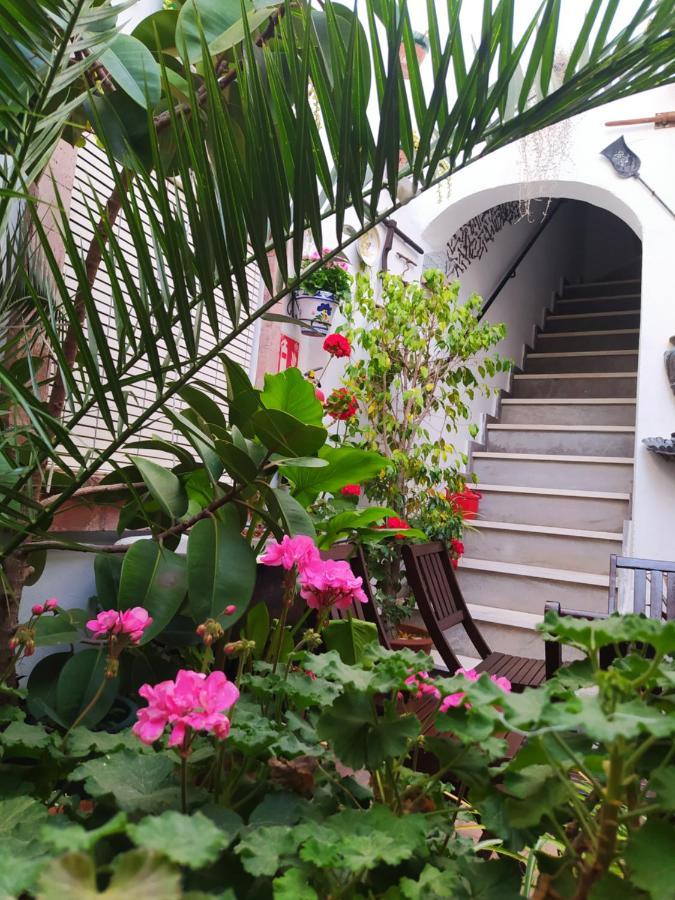 헤레스 Casa Museo Jerez Centro 아파트 외부 사진