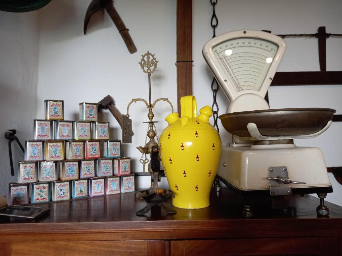 헤레스 Casa Museo Jerez Centro 아파트 외부 사진