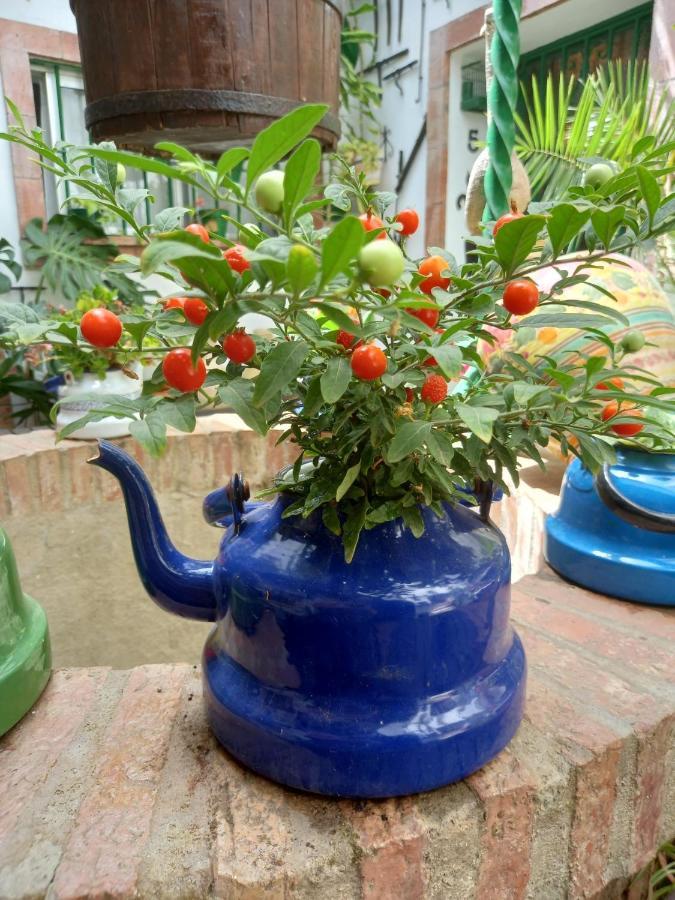 헤레스 Casa Museo Jerez Centro 아파트 외부 사진
