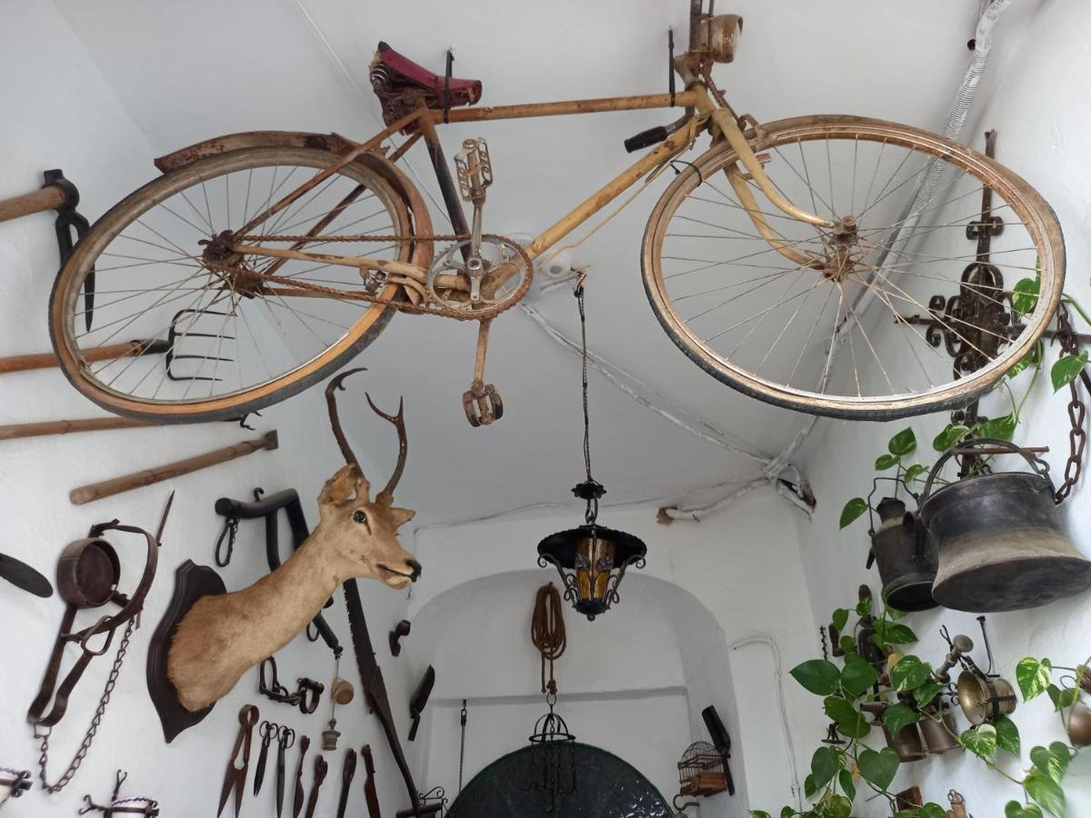 헤레스 Casa Museo Jerez Centro 아파트 외부 사진