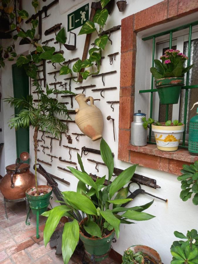 헤레스 Casa Museo Jerez Centro 아파트 외부 사진