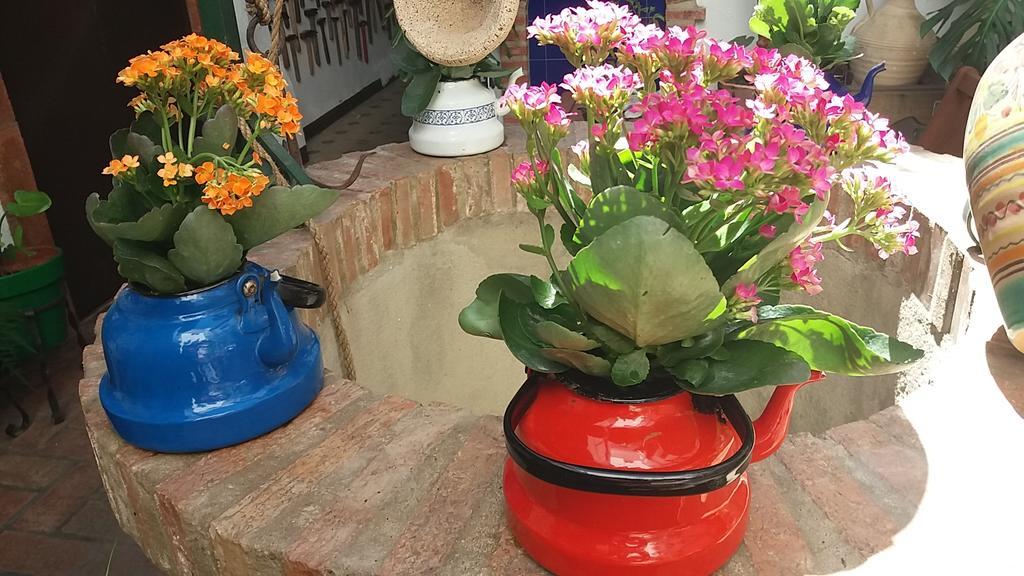 헤레스 Casa Museo Jerez Centro 아파트 외부 사진